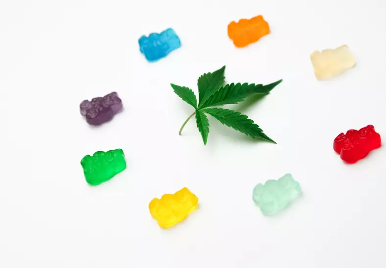 thc gummies
