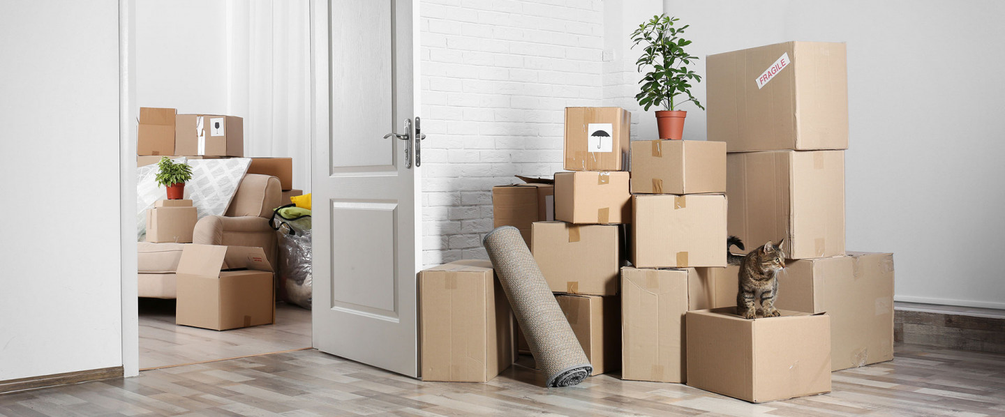 full service packing and moving cost